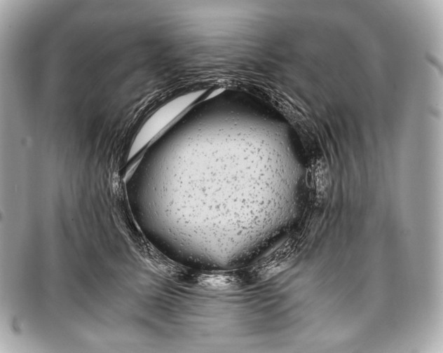 X0000096980611200802221436