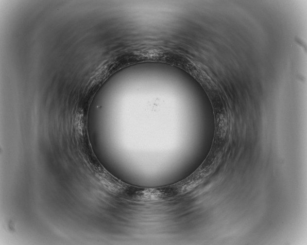 X0000096980612200802221436