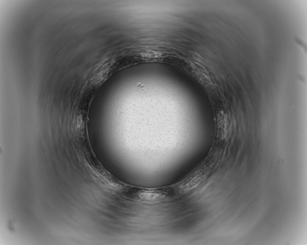 X0000096980614200802221436