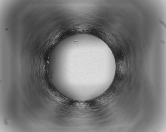 X0000096980615200802221436