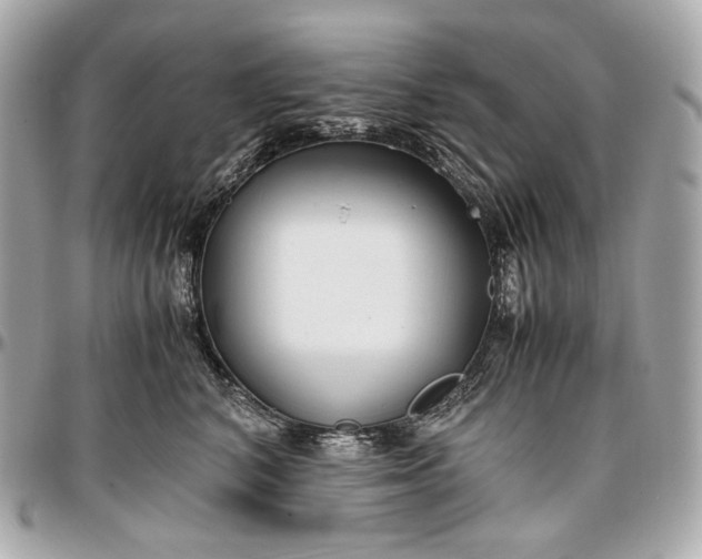 X0000096980616200802221436