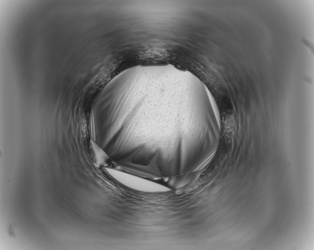 X0000096980617200802221436