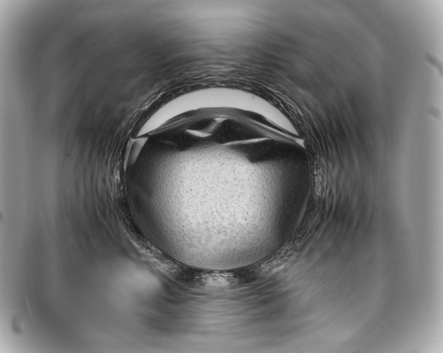 X0000096980618200802221436