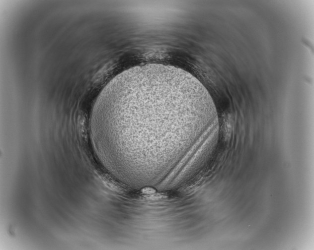 X0000096980619200802221436