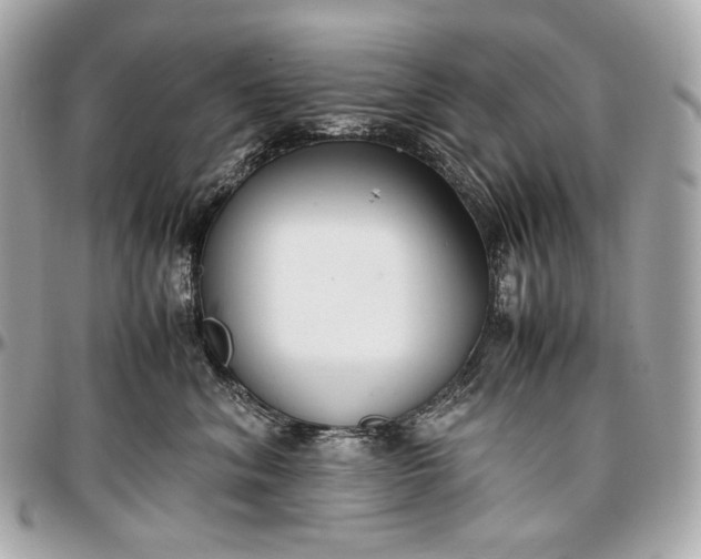 X0000096980620200802221436