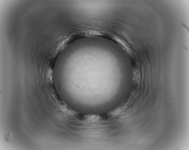 X0000096980621200802221436