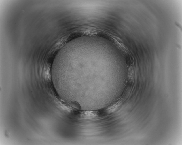 X0000096980622200802221436