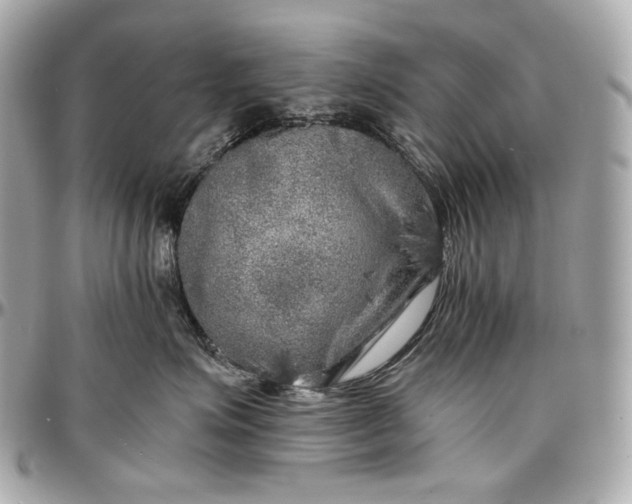 X0000096980623200802221435