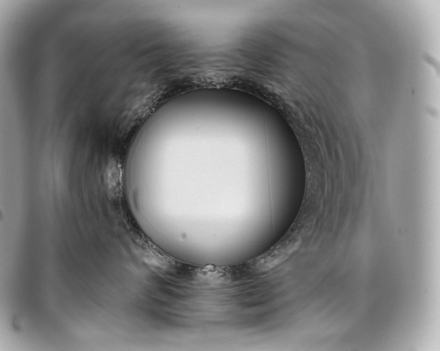 X0000096980624200802221435