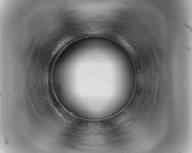 X0000096980626200802221435