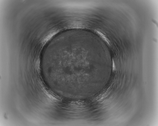 X0000096980627200802221435