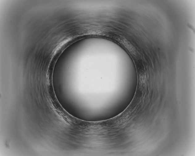 X0000096980628200802221435