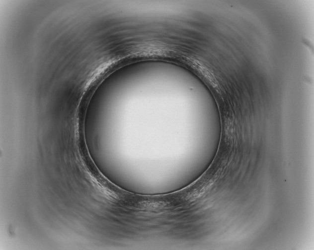 X0000096980629200802221435