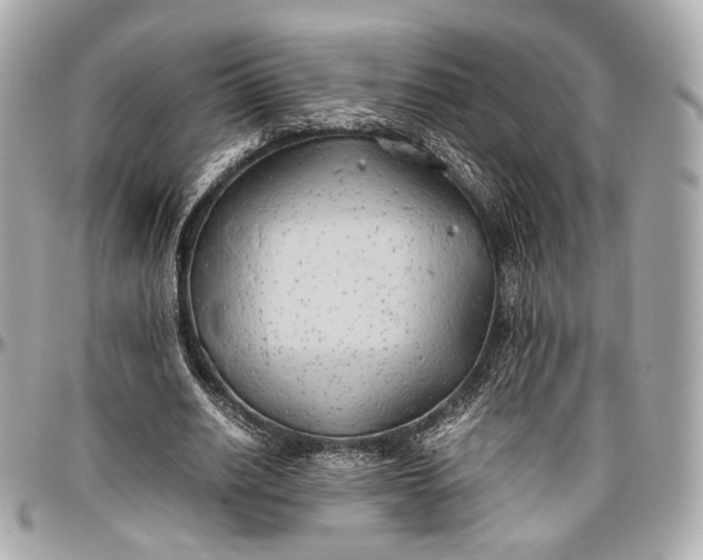 X0000096980630200802221435