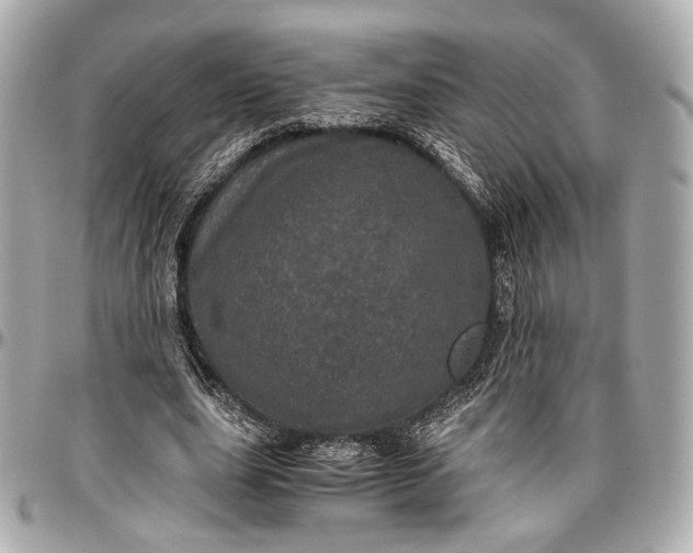 X0000096980631200802221435