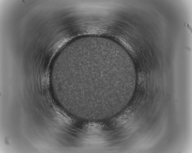 X0000096980632200802221435