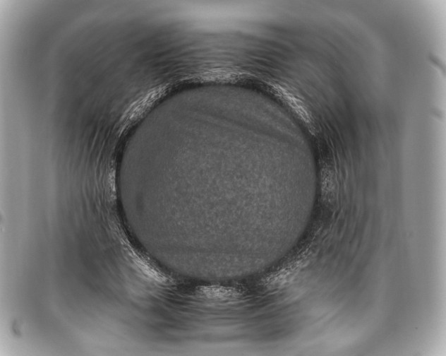 X0000096980633200802221435