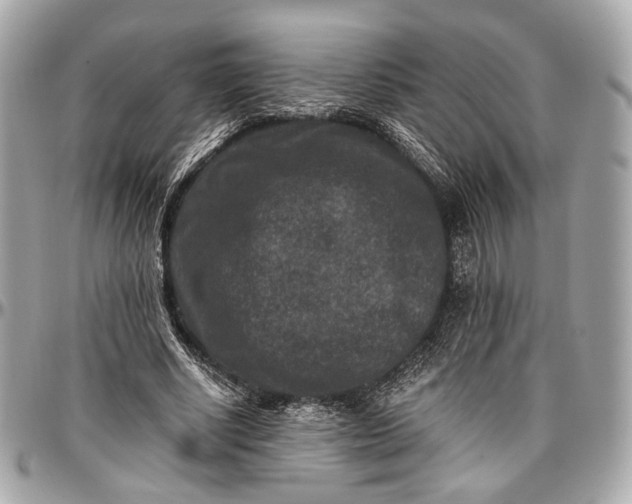 X0000096980634200802221435