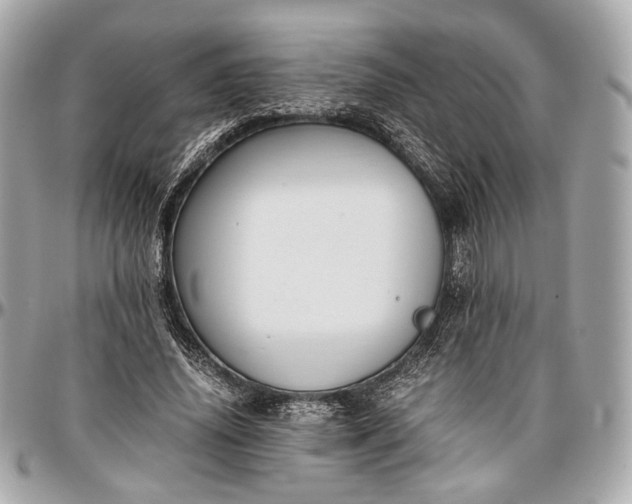 X0000096980636200802221435