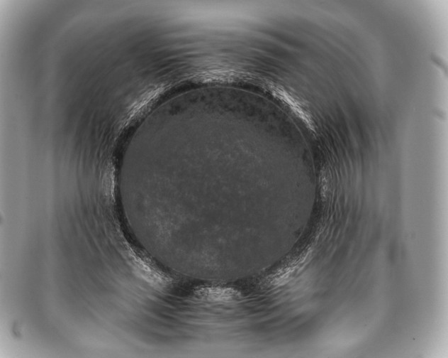 X0000096980637200802221435