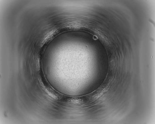 X0000096980638200802221435