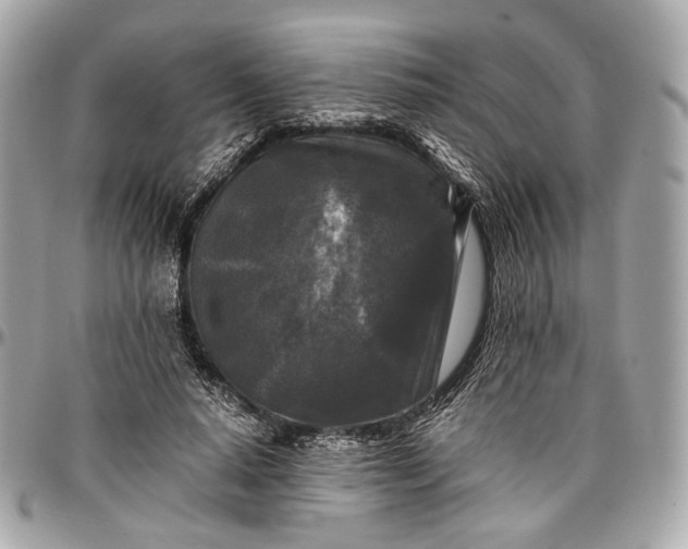 X0000096980640200802221435