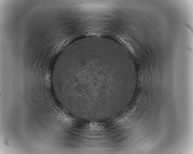 X0000096980641200802221435