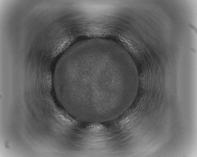 X0000096980642200802221435