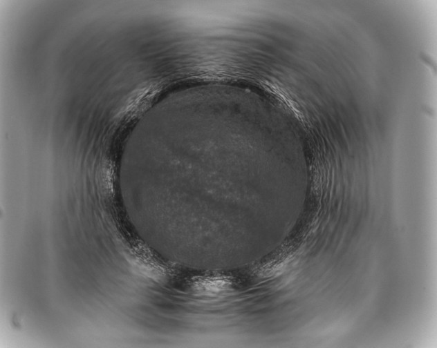 X0000096980643200802221435