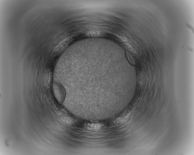 X0000096980645200802221435