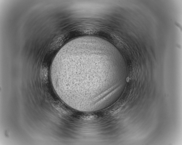 X0000096980646200802221435