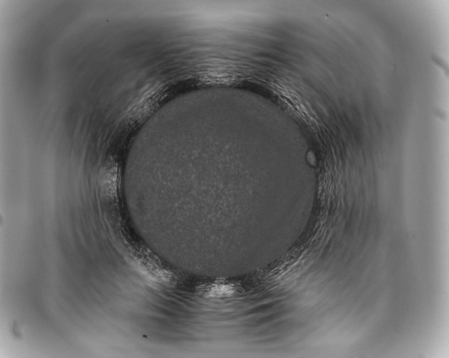 X0000096980647200802221435