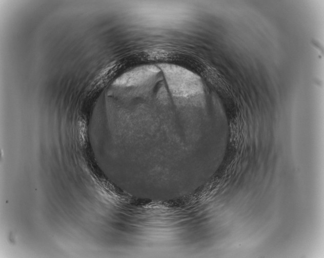 X0000096980648200802221435