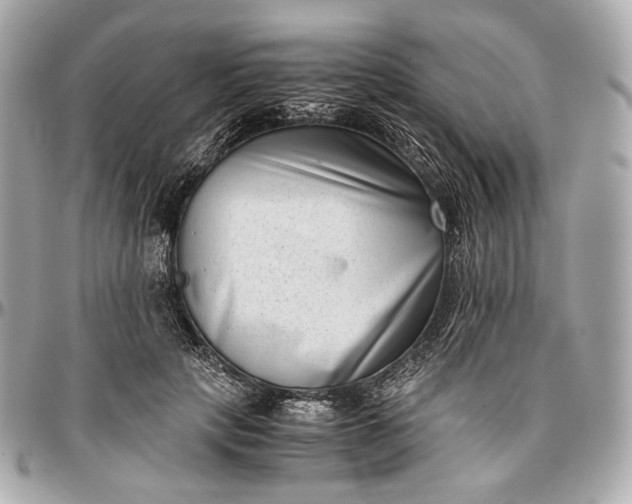 X0000096980649200802221435