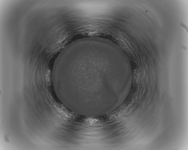 X0000096980650200802221435