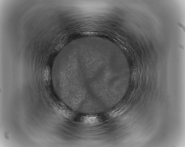 X0000096980651200802221435