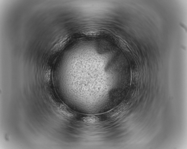 X0000096980652200802221435