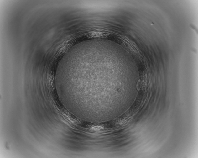 X0000096980653200802221435