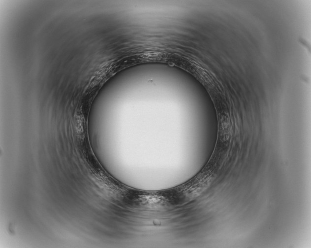 X0000096980654200802221435