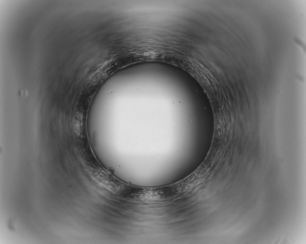 X0000096980656200802221435