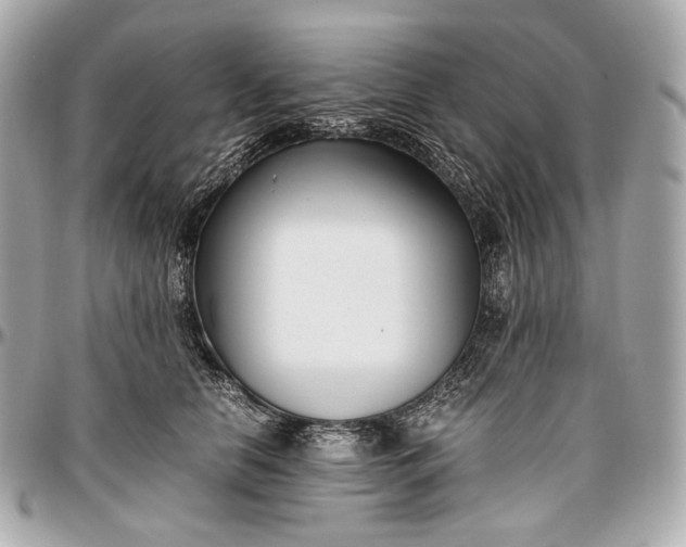 X0000096980658200802221435