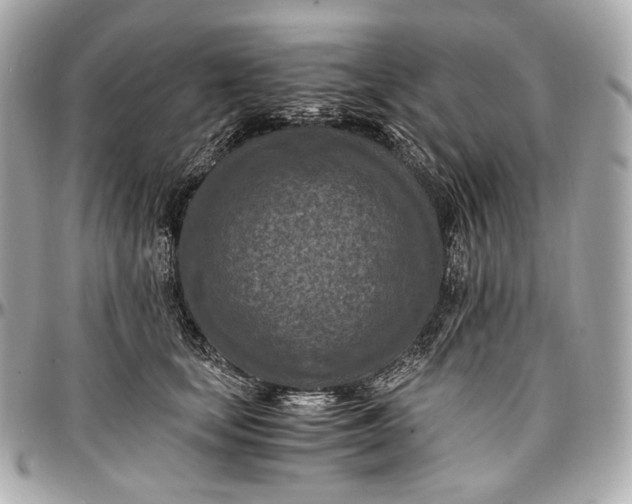 X0000096980659200802221435