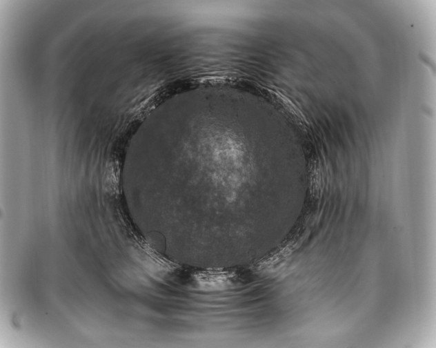 X0000096980661200802221435