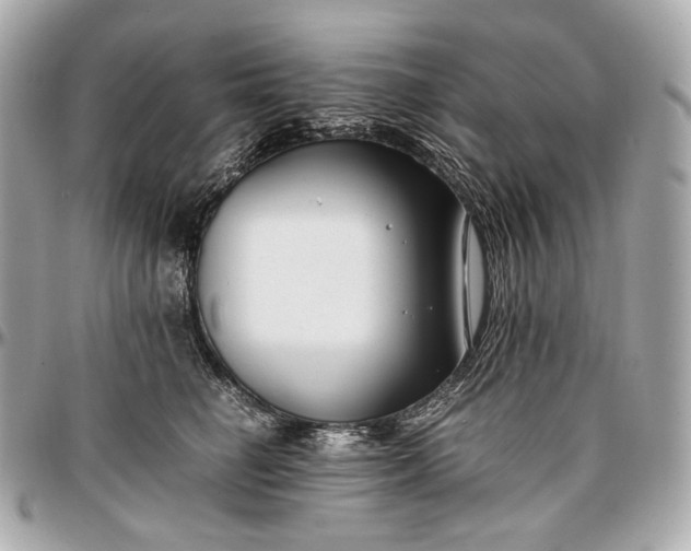 X0000096980662200802221435