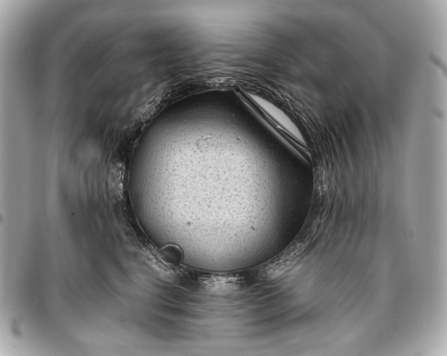 X0000096980664200802221435