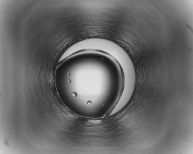 X0000096980665200802221435