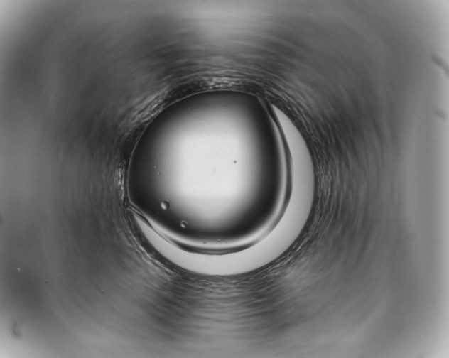 X0000096980666200802221435