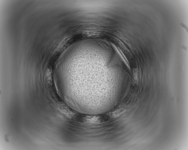 X0000096980667200802221435