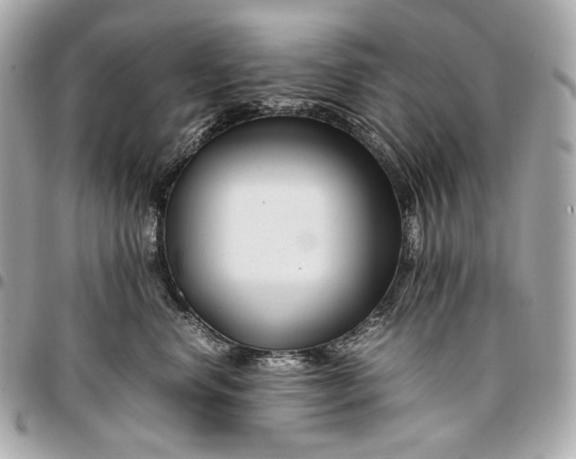 X0000096980668200802221435