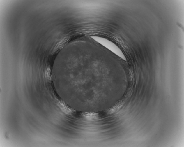 X0000096980670200802221435